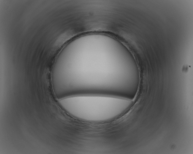 X0000093521265200710121120