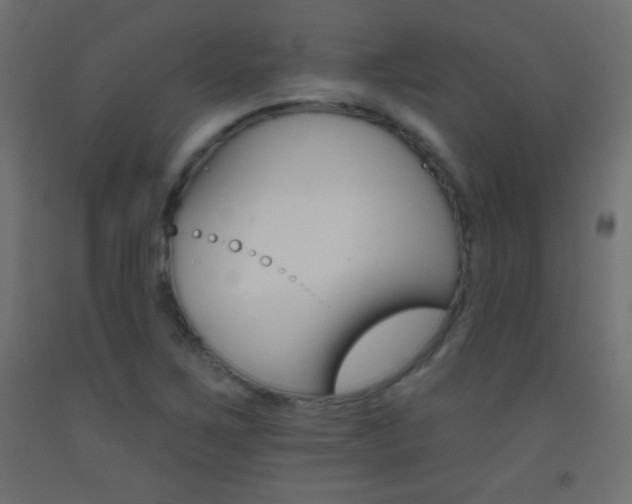 X0000093521267200710121120