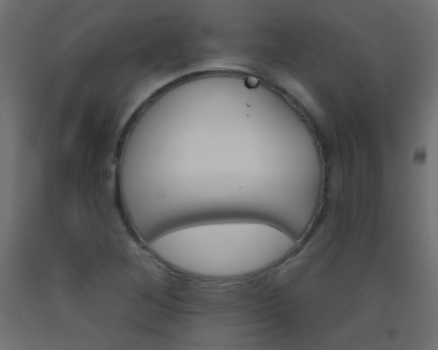 X0000093521268200710121120