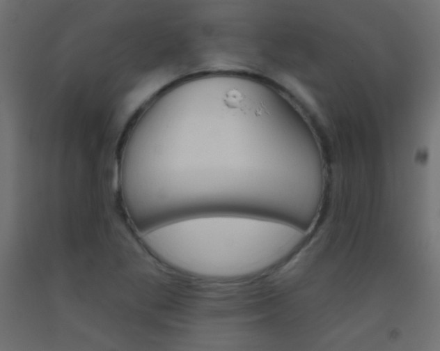 X0000093521269200710121120