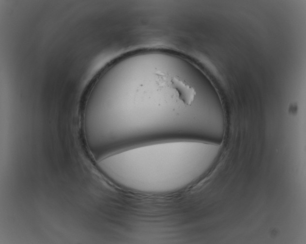 X0000093521270200710121120