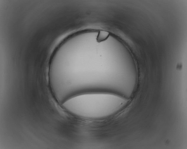 X0000093521272200710121120