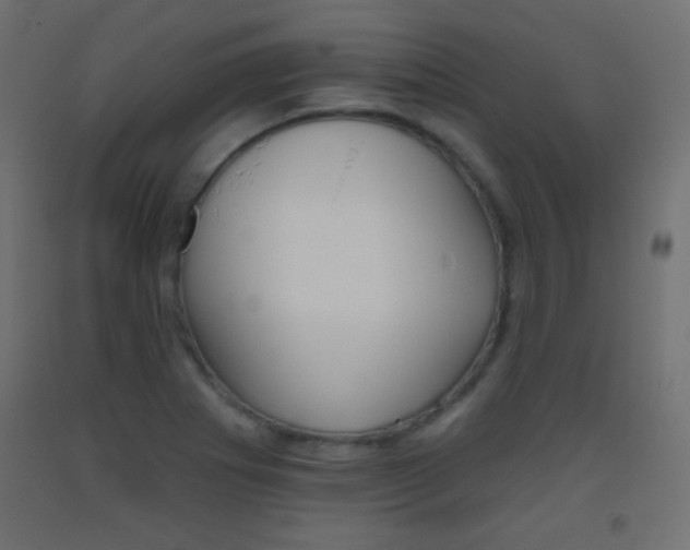 X0000093521273200710121120