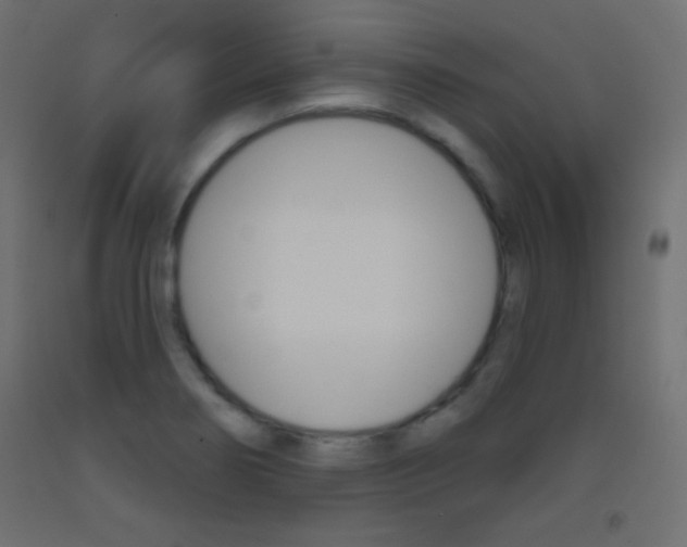 X0000093521274200710121120
