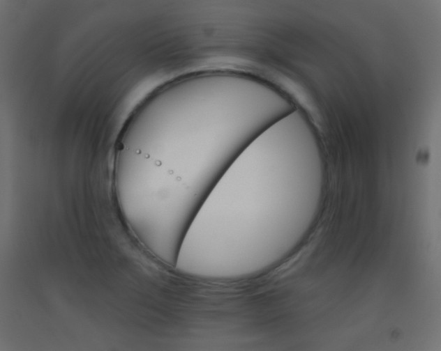 X0000093521275200710121120