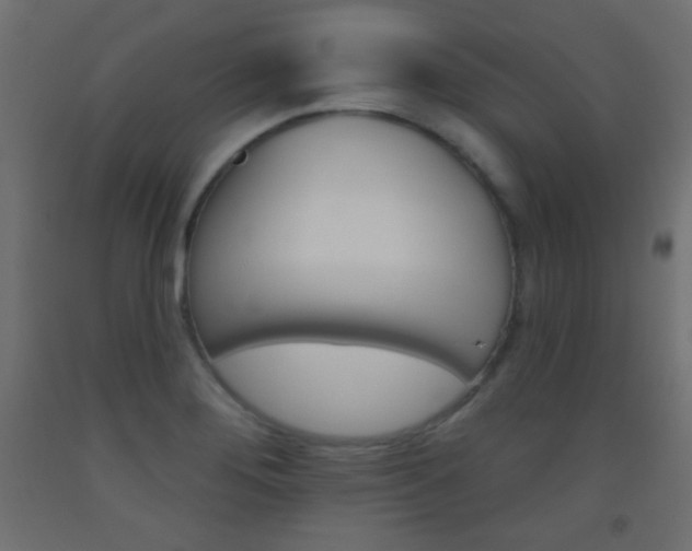 X0000093521276200710121120