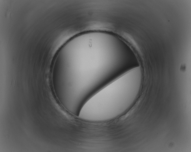 X0000093521277200710121120