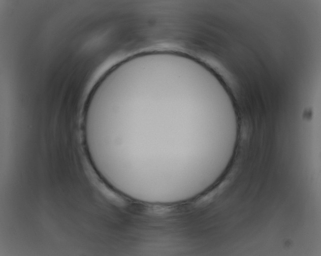 X0000093521278200710121120