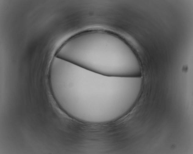 X0000093521279200710121120