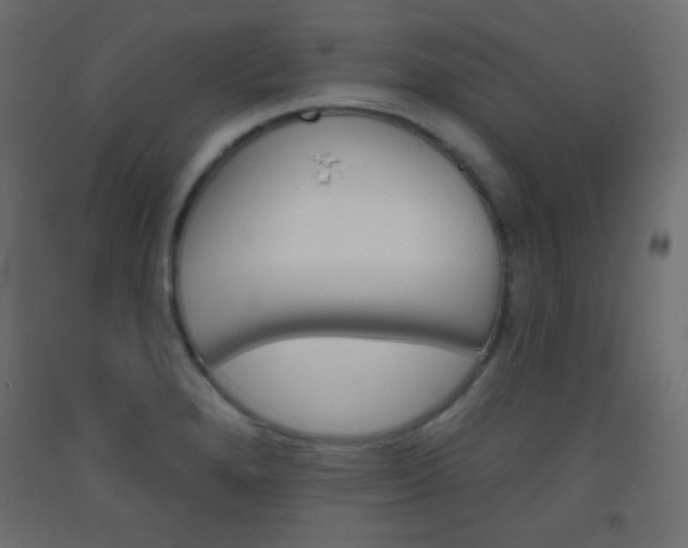 X0000093521280200710121120