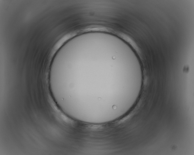 X0000093521282200710121120