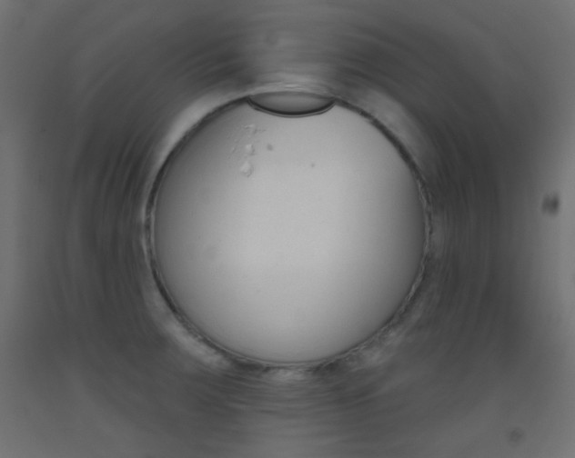 X0000093521283200710121120