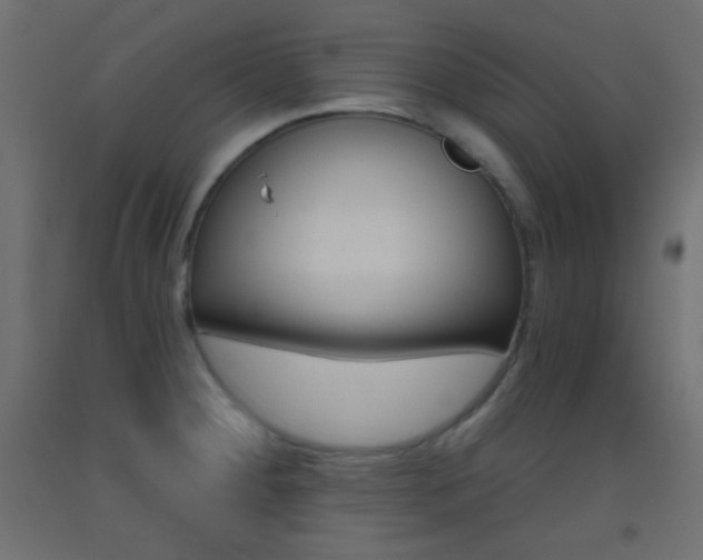 X0000093521284200710121120