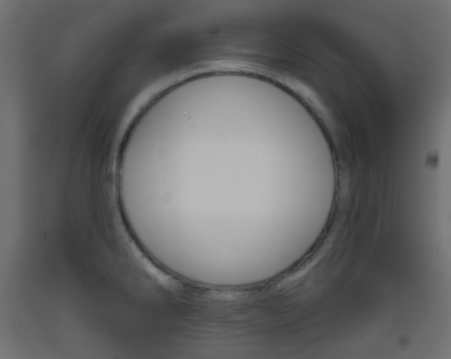 X0000093521286200710121120