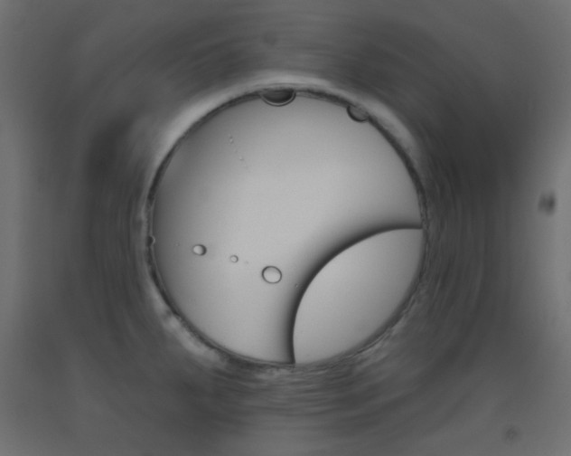 X0000093521287200710121120
