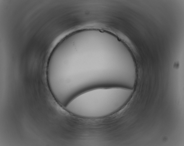 X0000093521288200710121120