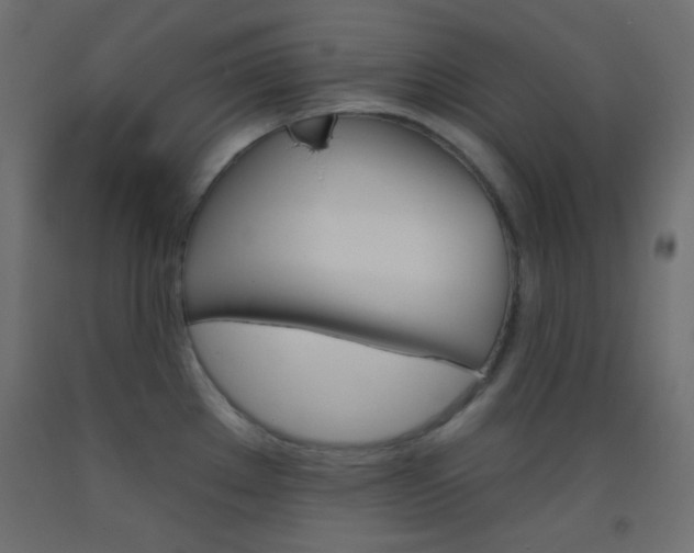 X0000093521289200710121120