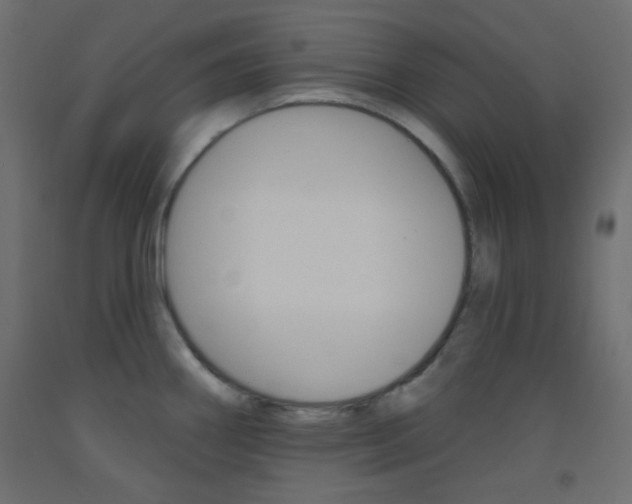 X0000093521290200710121120