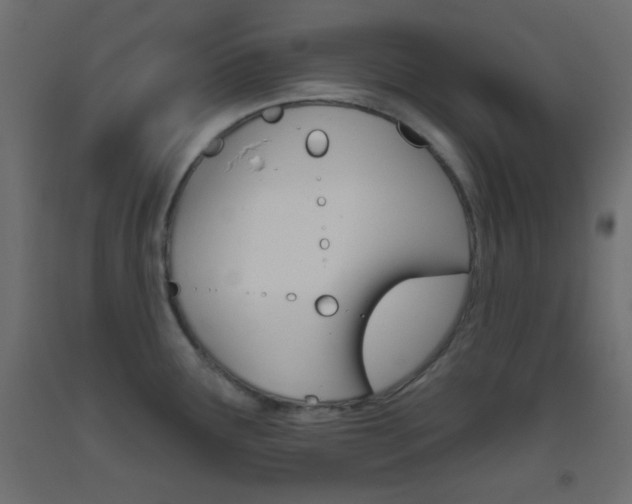 X0000093521291200710121120