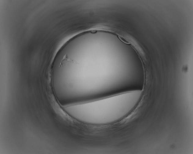 X0000093521292200710121120