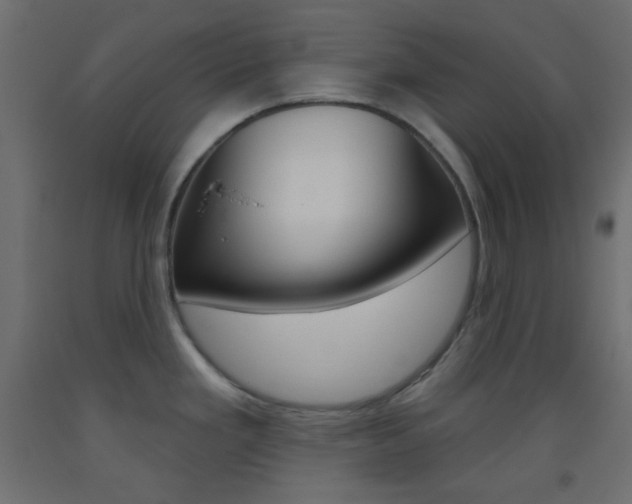 X0000093521293200710121120