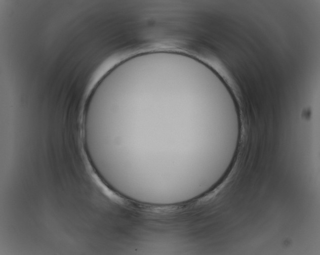 X0000093521294200710121120