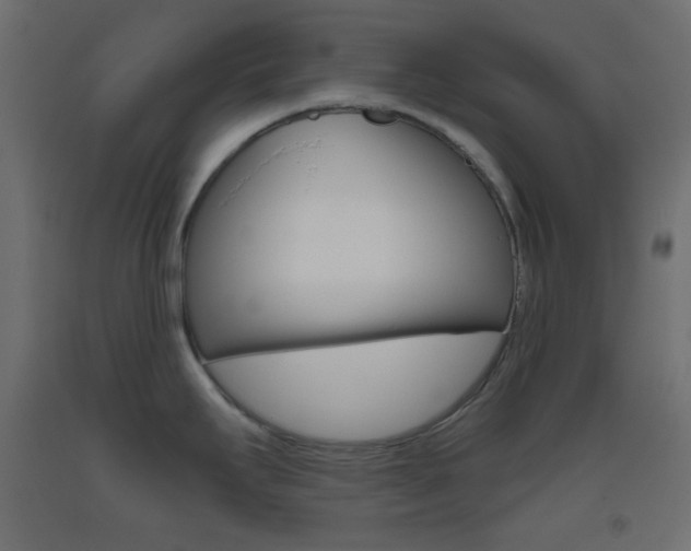 X0000093521295200710121120