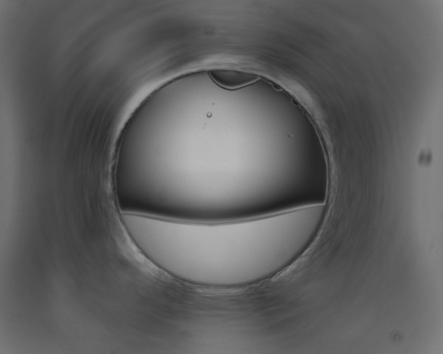 X0000093521296200710121120