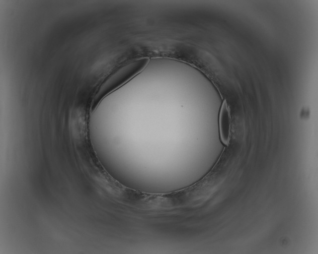X0000093521298200710121119