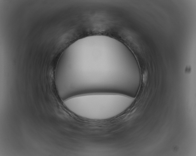X0000093521299200710121119