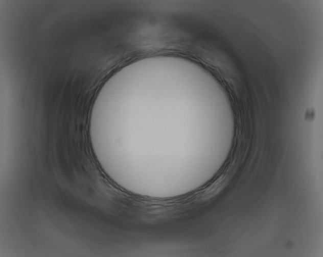 X0000093521300200710121119