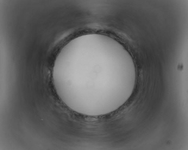 X0000093521302200710121119