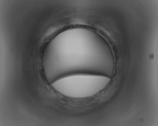 X0000093521303200710121119