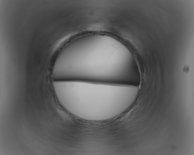 X0000093521304200710121119