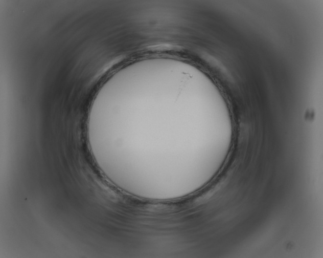 X0000093521305200710121119