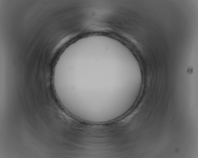 X0000093521306200710121119
