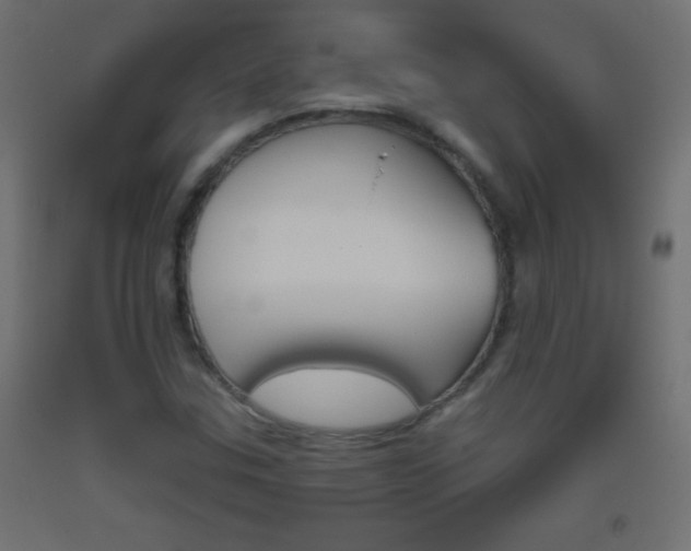 X0000093521307200710121119