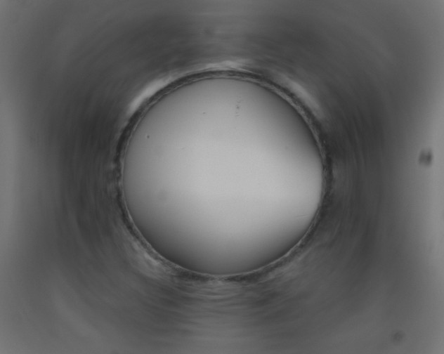 X0000093521308200710121119