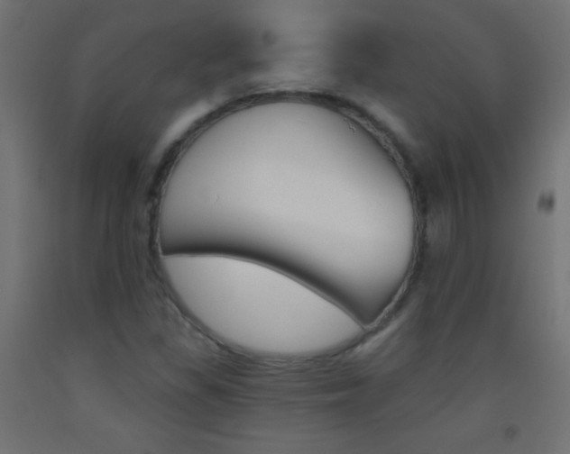X0000093521309200710121119