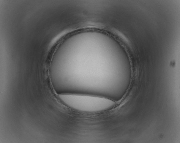 X0000093521310200710121119