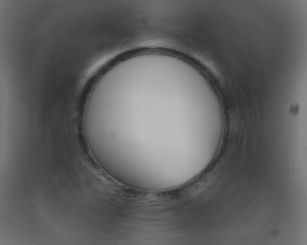 X0000093521311200710121119