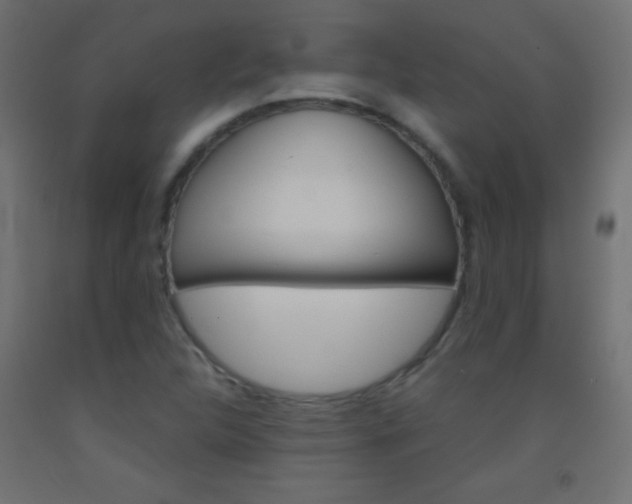 X0000093521312200710121119