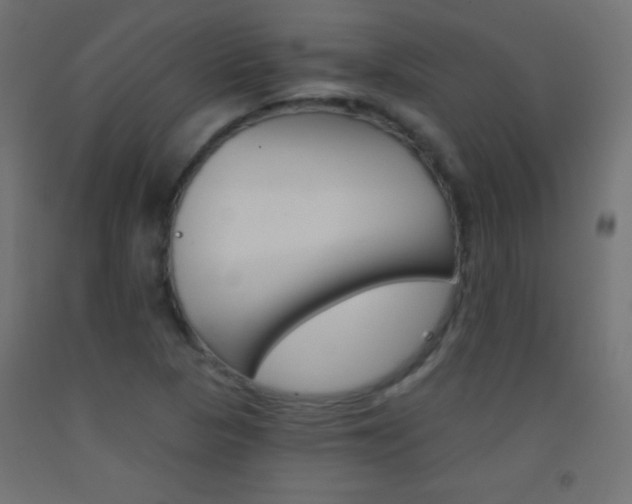 X0000093521313200710121119