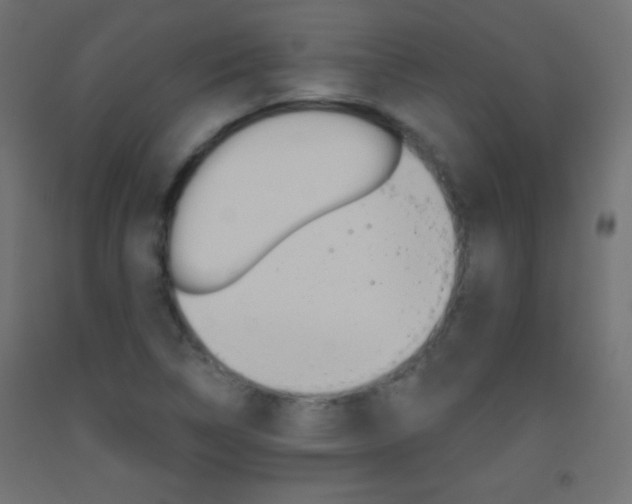 X0000093521314200710121119