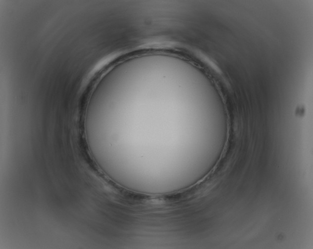 X0000093521315200710121119