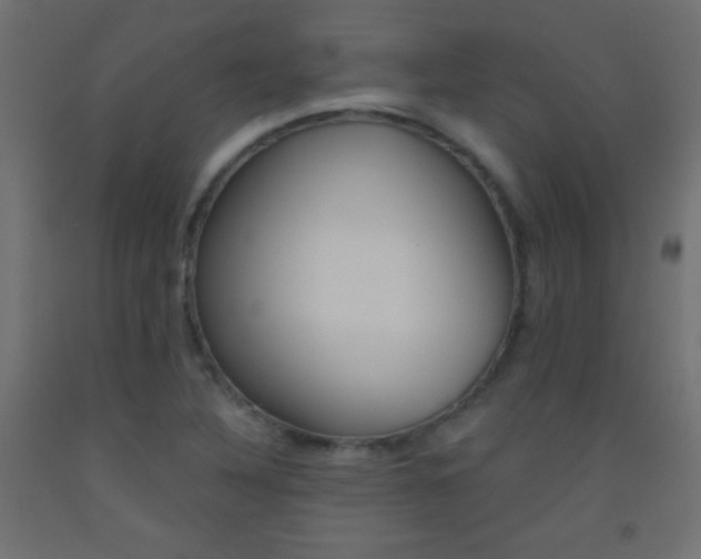 X0000093521316200710121120