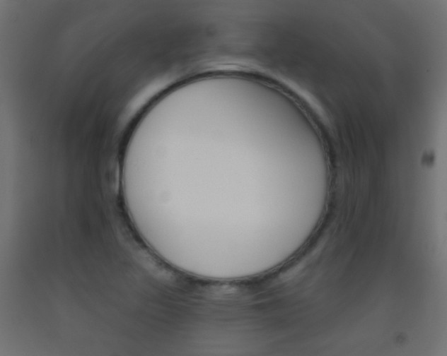 X0000093521317200710121120