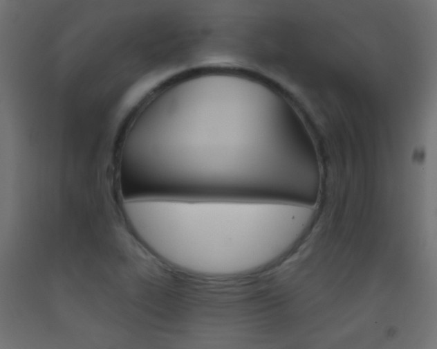 X0000093521319200710121120