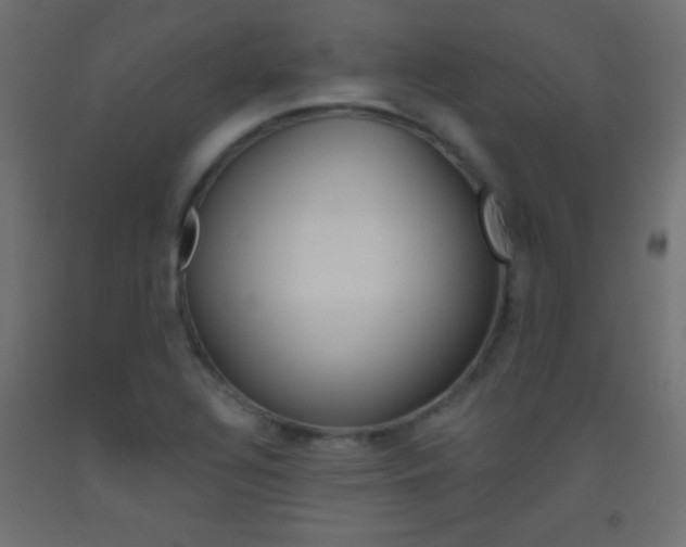 X0000093521320200710121120