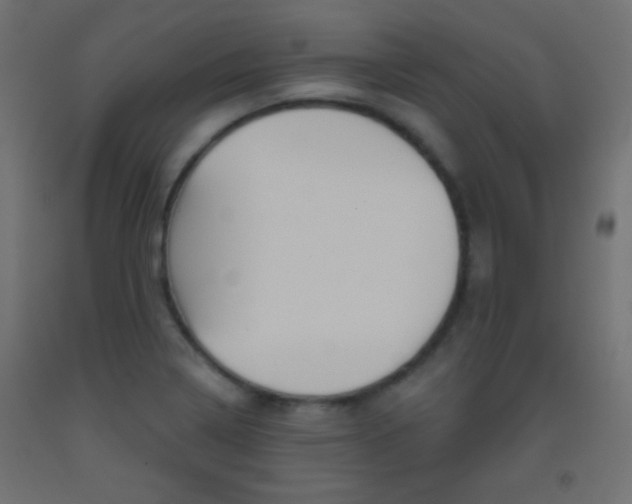 X0000093521322200710121120